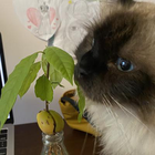 Profielfoto voor Rui Z