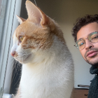 Avatar pour Alexis M