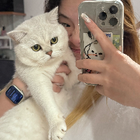Profilbild für yaya Z