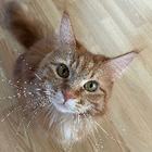 Profilbild für Magdalena M