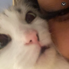 Avatar for Aaliyah D