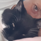Profilbild für Caroline F