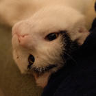 Profilbild für Sarah L