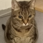Profilbild für Veronika H