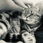 Profilbild für Martina S