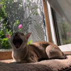 Profilbild für Carolin C
