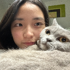 Avatar for I-Chieh (Calin) L