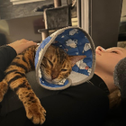 Profilbild für Jana R