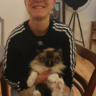 Profilbild für Laura K