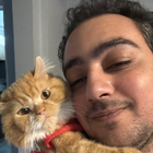 Profilbild für Youssef A