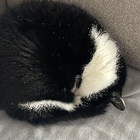 Profilbild für Dominika B