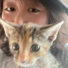 Avatar for Yi (Prika) H