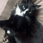 Profilbild für Lena S