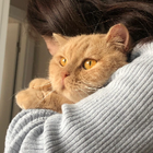 Profilbild für Elif A