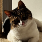 Profilbild für Eva T