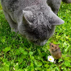 Profilbild für Silke S