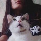 Avatar pour Noémie C