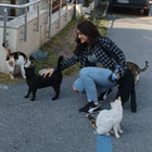 Profilbild für Kardelen P