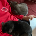 Profilbild für Matias E