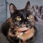 Profielfoto voor Adam E