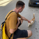 Profielfoto voor Stefan A