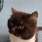 Profielfoto voor Miss C