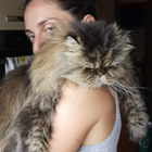 Profilbild für Eleonora F
