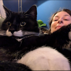 Profilbild für Jessica M
