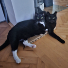 Profilbild für Julie J