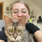 Profilbild für Desiree T