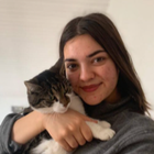 Profilbild für Merve B