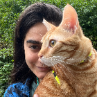 Profilbild für Şebnem Ö