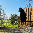 Profilbild für Irina F