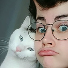 Avatar pour Yol D