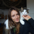 Profilbild für Steffi S