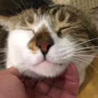 Avatar for Forrest K