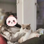 Profilbild für Nadia J