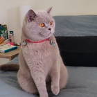 Profilbild für Virginia C