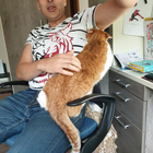 Profilbild für Devrim T