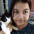 Avatar pour Imane L