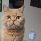 Profilbild für Inga M