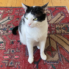 Profilbild für Olivia M