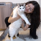 Profilbild für Morena A