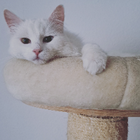 Profilbild für Katja G