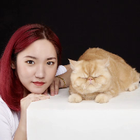 Avatar for Yifei Y