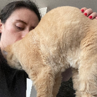 Profilbild für Nathaly C