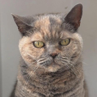 Avatar for Stephen (Steve) C