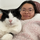 Profilbild für Yue C