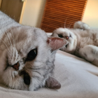 Profilbild für Sabine W