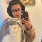 Profilbild für Adolatkhon A
